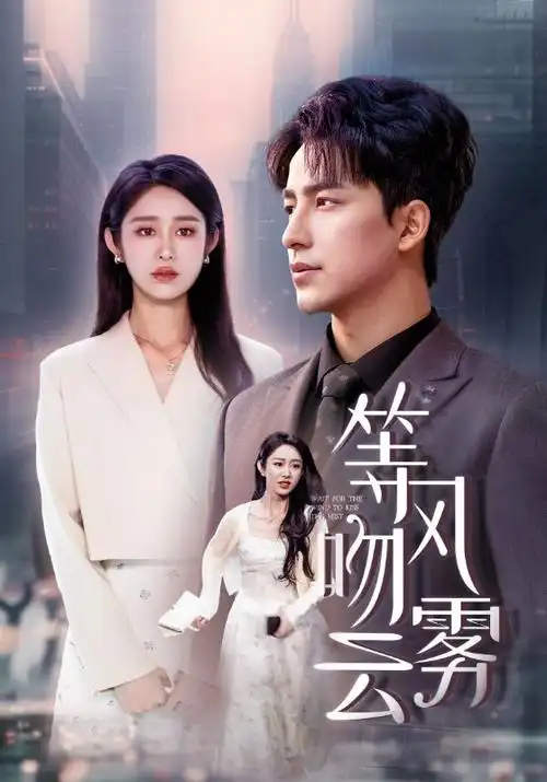 琅琊榜（2015）海报